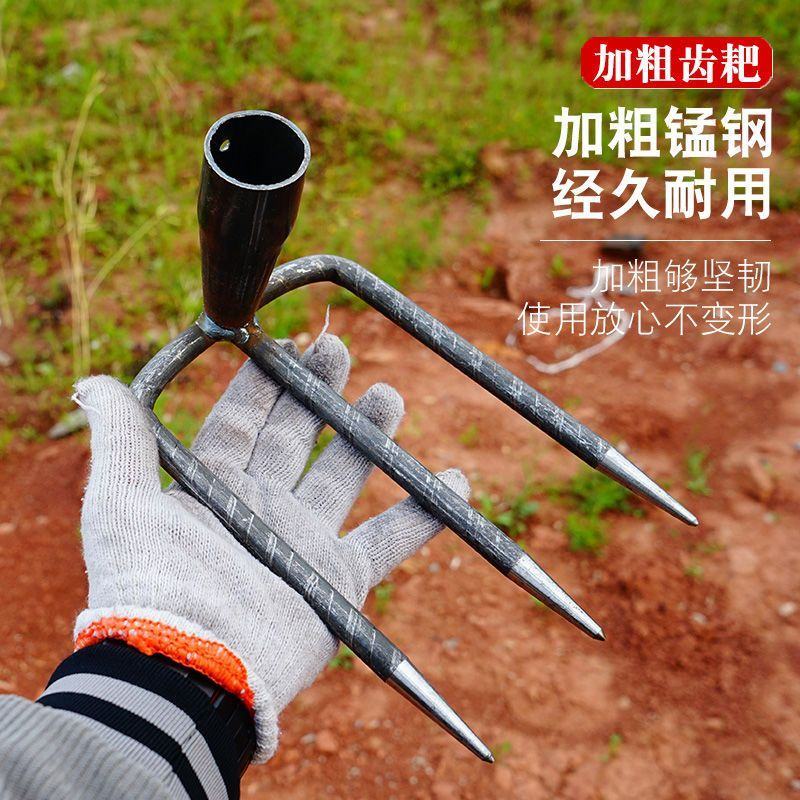 钢耙多齿耙子二齿三齿四齿耙赶海翻地刨红薯花生除草家用抓钩