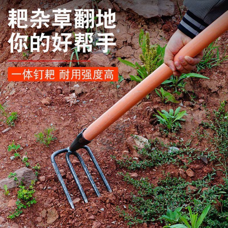 钢耙多齿耙子二齿三齿四齿耙赶海翻地刨红薯花生除草家用抓钩