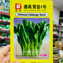 德高青苔1号菜苔种子易出苔早熟杂交品种苔色翠绿口感脆甜