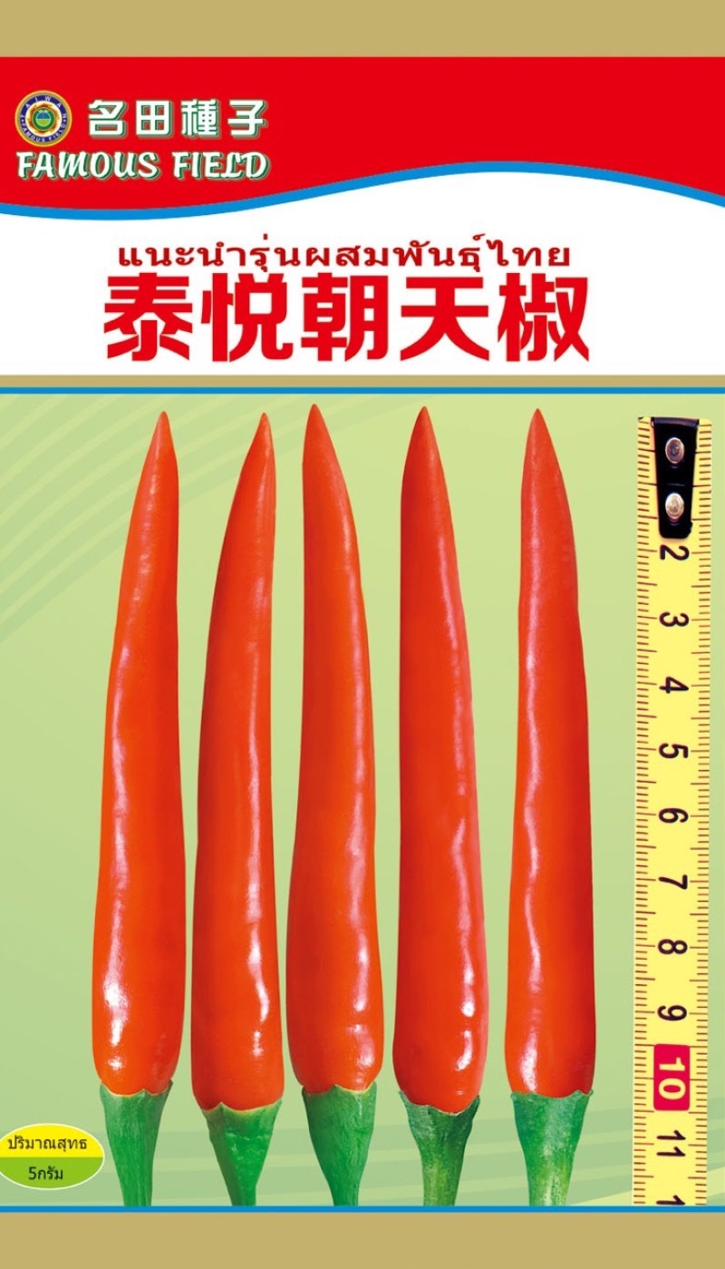 泰悦大果朝天椒种子辣椒种子颜色好耐湿热