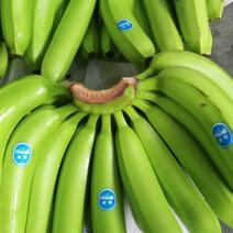 特价精品进口香蕉，果面干净无花皮无硬芯，货源充足可发全国