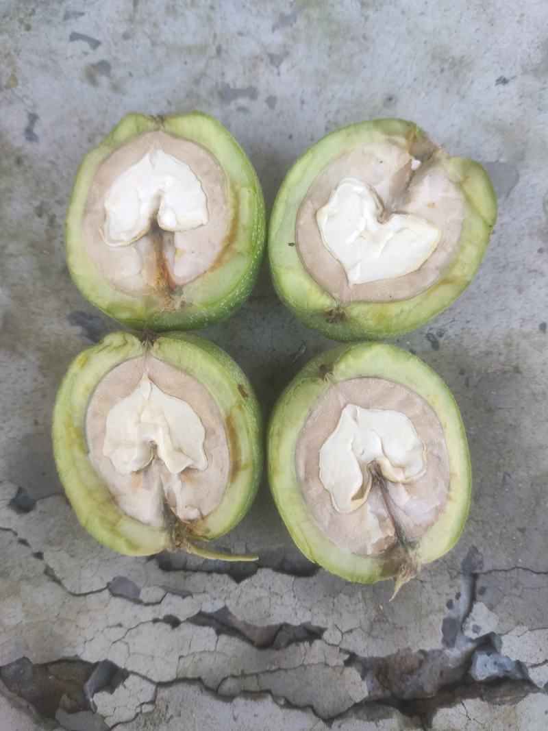 青皮核桃全国代发供应电商欢迎致电