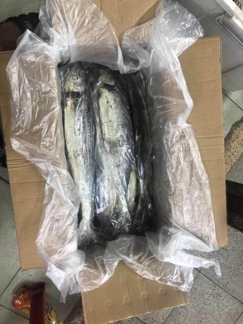 马鲛咸鱼