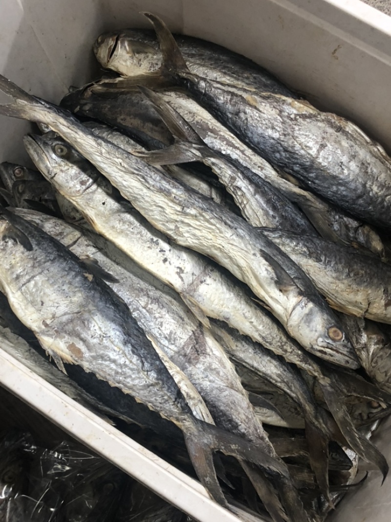 马鲛咸鱼