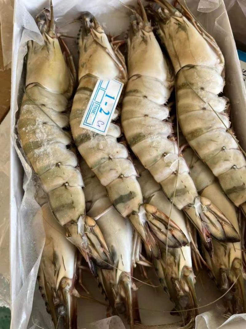 黑虎虾，肉多，品质上乘，欢迎品尝，支持视频看货