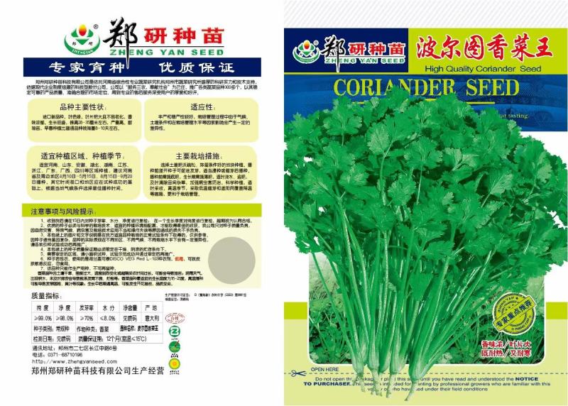 郑研波尔图香菜种子澳洲耐热香菜种子一袋一斤