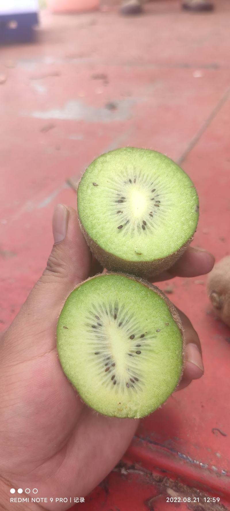 大量出货中