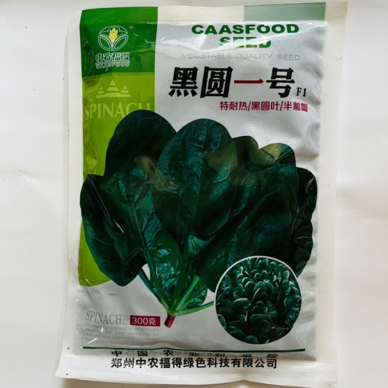 黑圆叶菠菜种子中菠108杂交品种种子