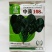 黑圆叶菠菜种子中菠108杂交品种种子