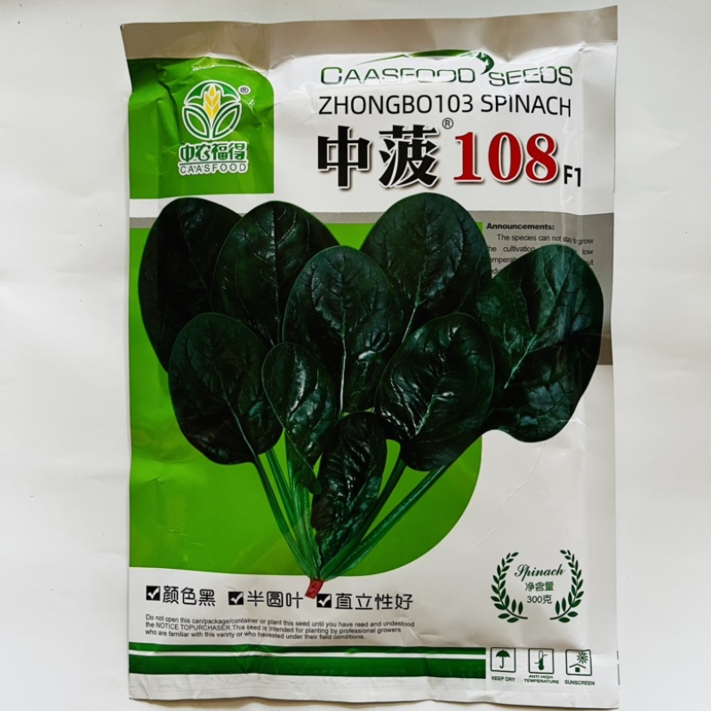 黑圆叶菠菜种子中菠108杂交品种种子