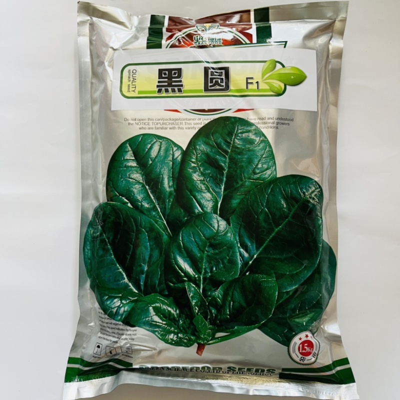 黑圆叶菠菜种子中菠108杂交品种种子