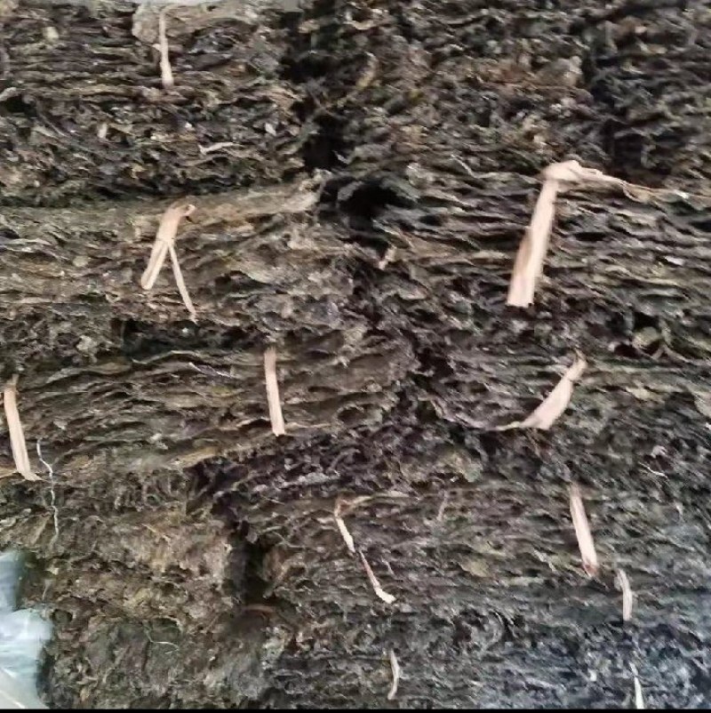 干蟾皮
