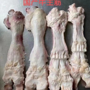 牛主筋，国产纯干牛主筋，满满胶原蛋白，长期有货，厂家直供
