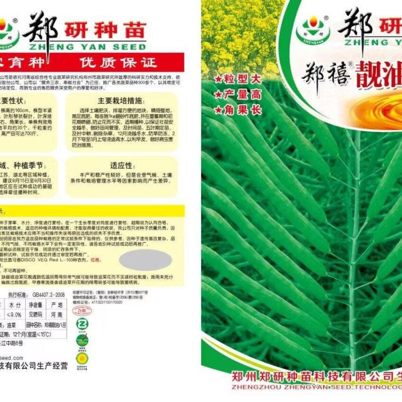 郑研靓油六号油菜种子秦油二号三月黄油菜种子