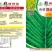 郑研靓油六号油菜种子秦油二号三月黄油菜种子