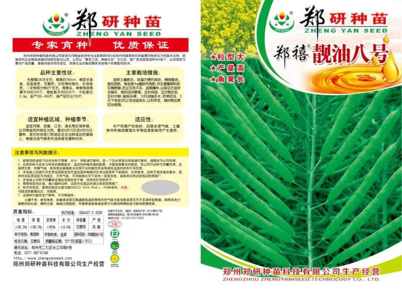 郑研靓油六号油菜种子秦油二号三月黄油菜种子
