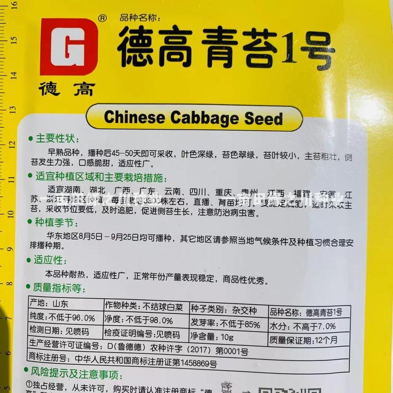 口感脆甜青苔1号菜苔种子商品苔率高易出苔早熟菜苔种籽