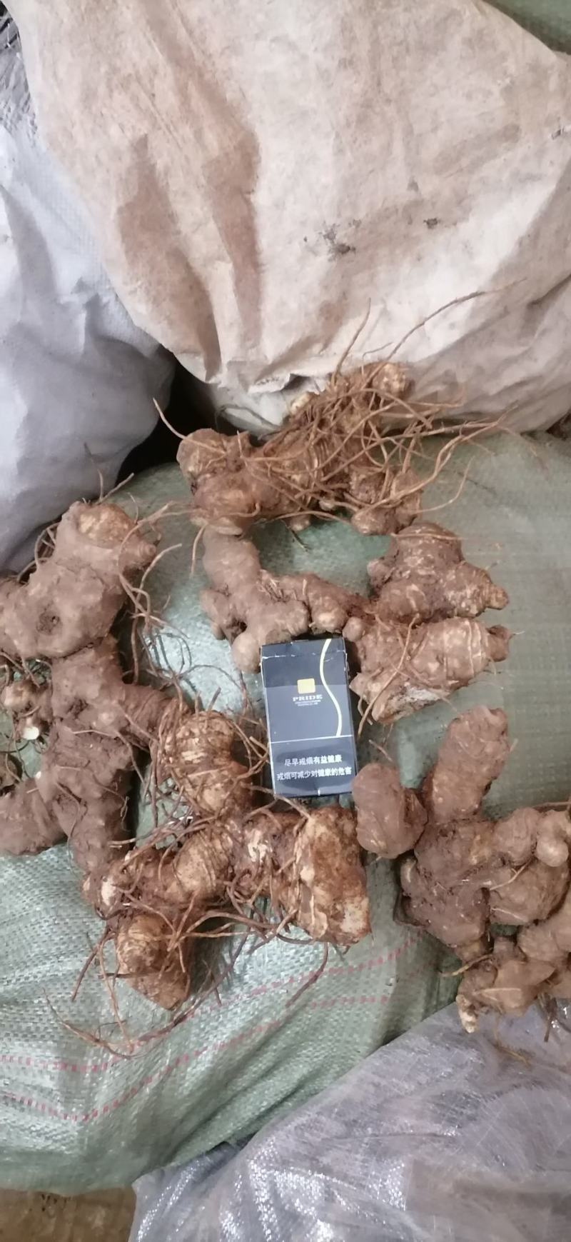 黄精生姜，现采，现挖，鸡头行，包茶，包汤的佳品