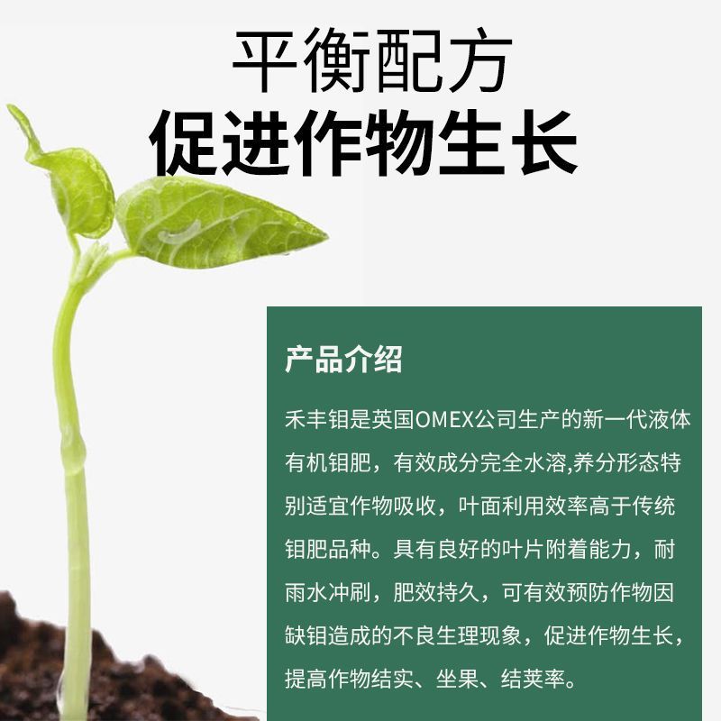 禾丰钼进口有机钼肥禾丰钼酸铵微量元素水溶肥料促进作物生长