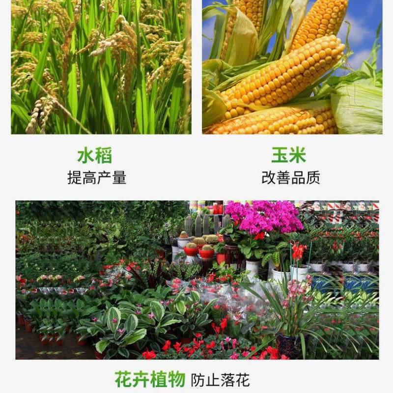 禾丰钼进口有机钼肥禾丰钼酸铵微量元素水溶肥料促进作物生长