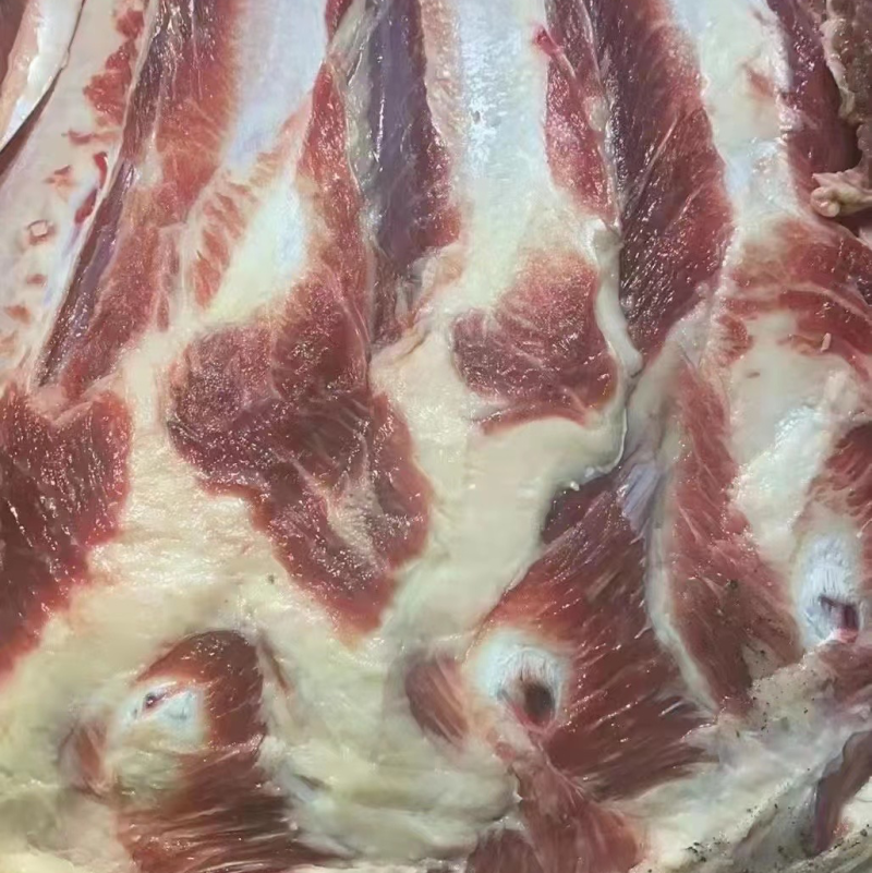 牛光排