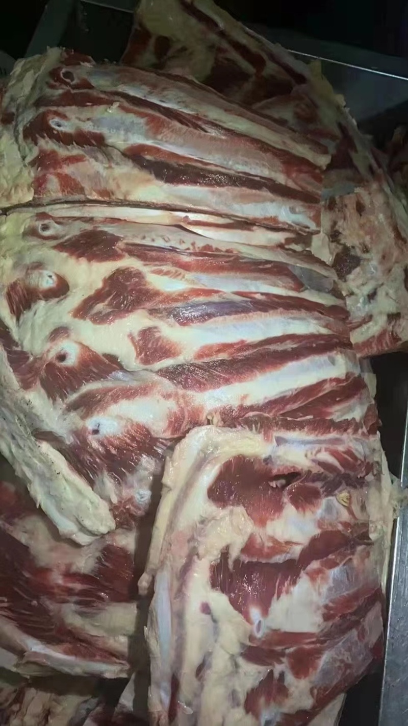 牛光排