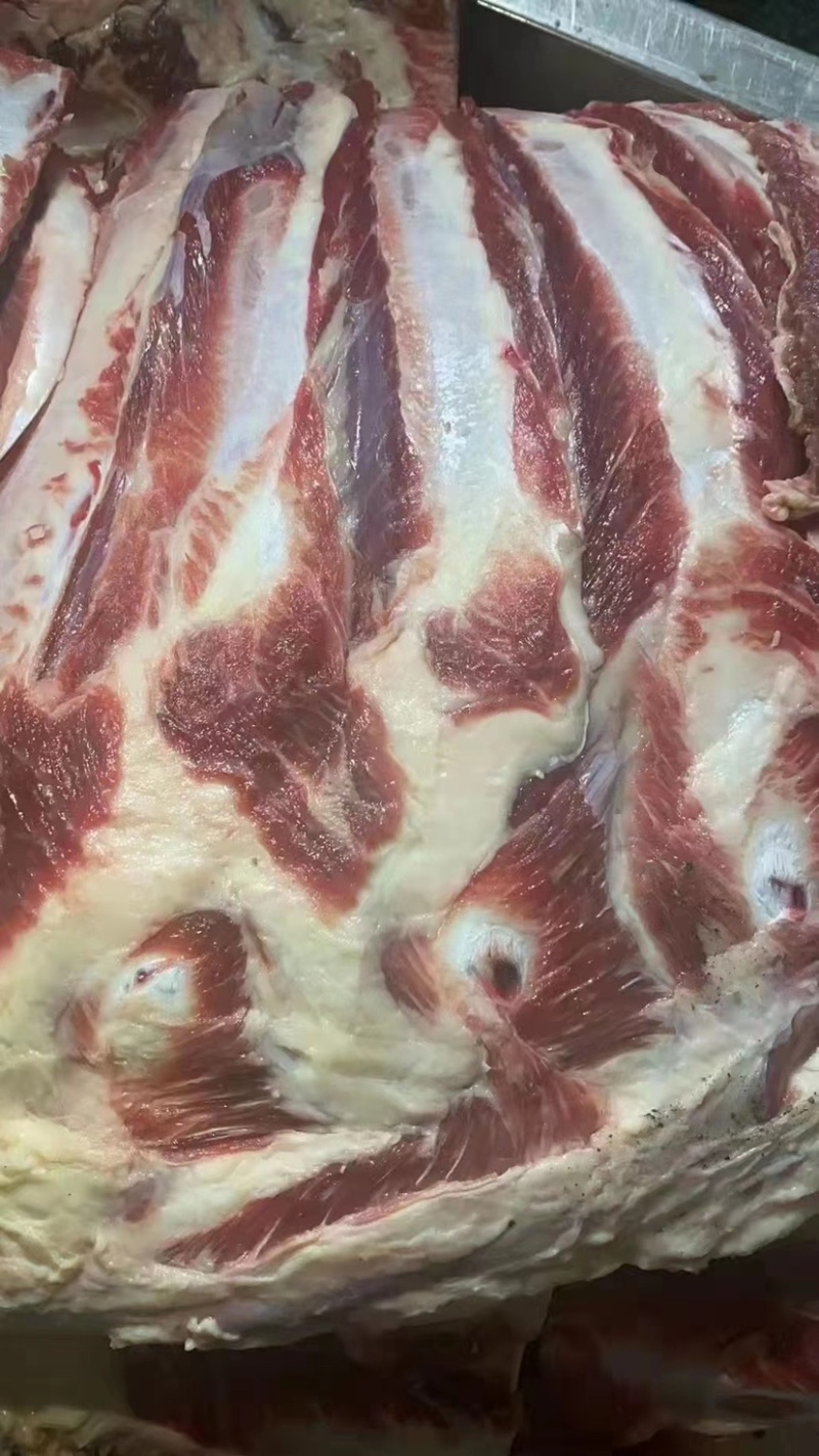 牛光排
