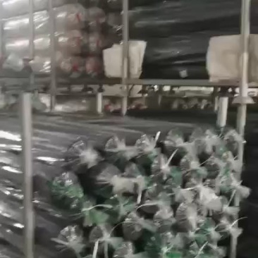 地膜，农用地膜！