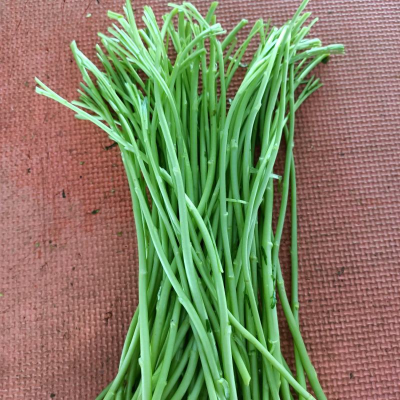 芦蒿黎蒿，泥蒿江苏特产芦蒿大量上市价格优惠