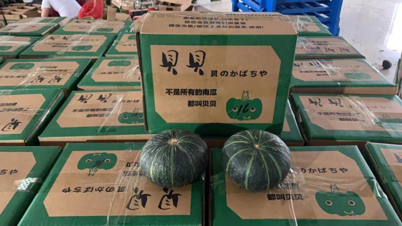 正宗贝贝南瓜板栗味贝贝南瓜宝宝辅食散货微商商标批。