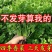 香菜种子四季速生小香菜种子芫荽种子四季可播种蔬菜籽