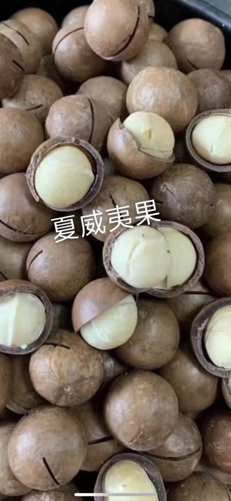 批发【夏威夷果】香脆可口夏中大果整箱10斤装精品批发