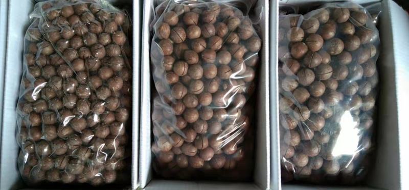 批发【夏威夷果】香脆可口夏中大果整箱10斤装精品批发