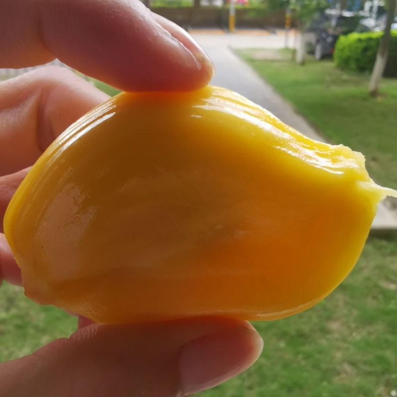 福建漳州菠萝蜜大量上市，质优价廉，需要请联系我