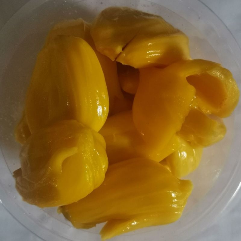 福建漳州菠萝蜜大量上市，质优价廉，需要请联系我