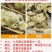 【黄山发货】头茬黄山贡菊花茶不苦过筛非七月花太阳花包邮