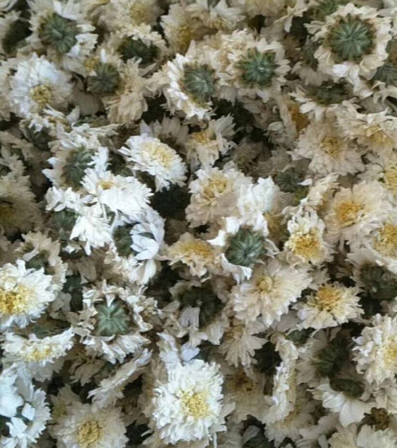 【黄山发货】头茬黄山贡菊花茶不苦过筛非七月花太阳花包邮