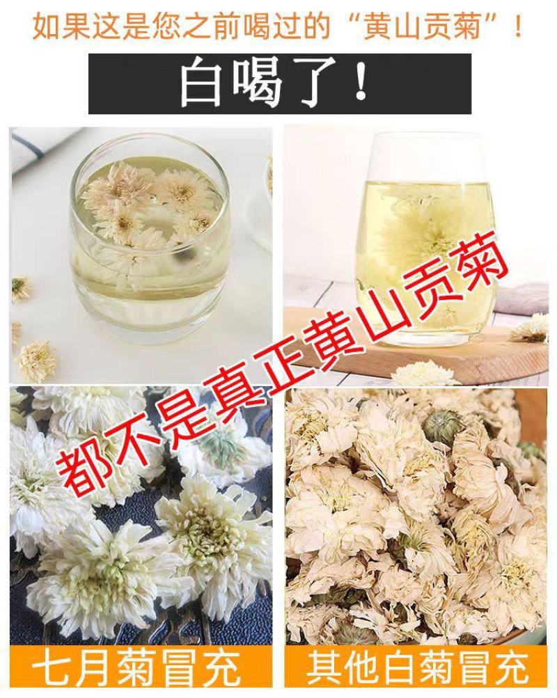 【黄山发货】黄山贡菊花茶道地药材贡菊非七月菊太阳花包邮