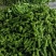 301尖椒，鲜辣椒，山东临沂费县，量大，电商，市场，超市
