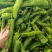 301尖椒，鲜辣椒，山东临沂费县，量大，电商，市场，超市