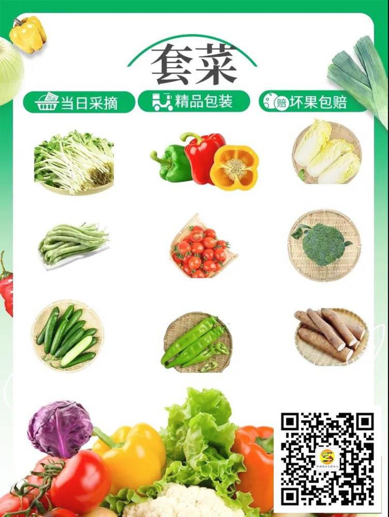 套菜多种蔬菜组合寿光套菜礼盒疫区用多种节日蔬菜礼包