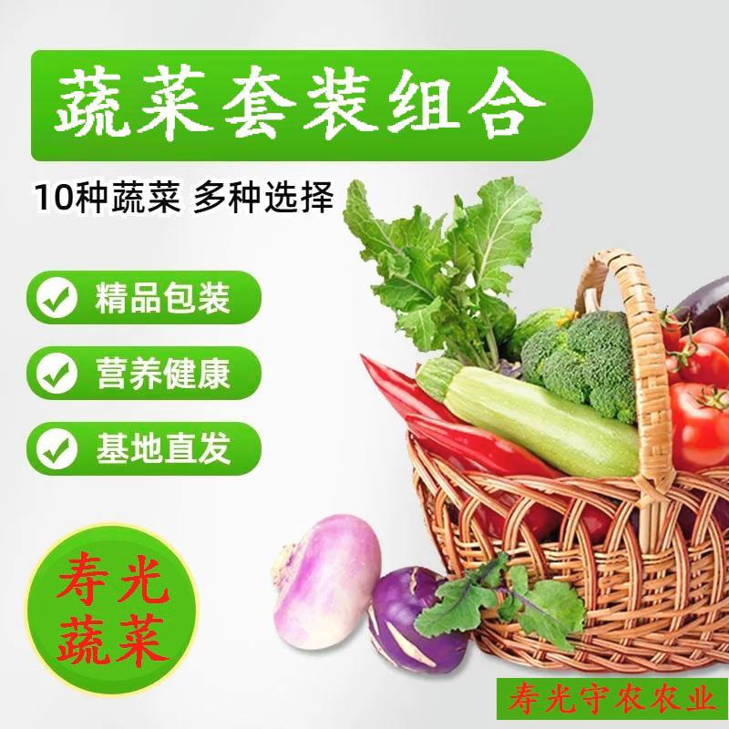 套菜多种蔬菜组合寿光套菜礼盒疫区用多种节日蔬菜礼包