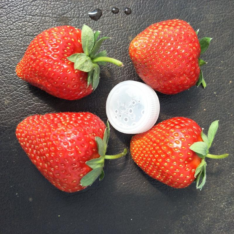 2022年奶油草莓苗多少钱一棵，山东草莓苗价格