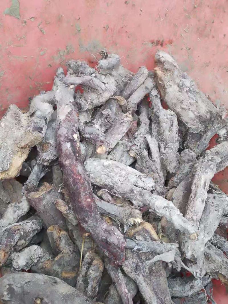云南野生紫草干货散装批发