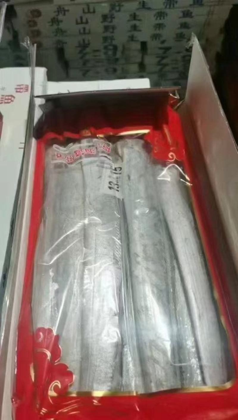 舟山帶魚大量批發有需要的訂單