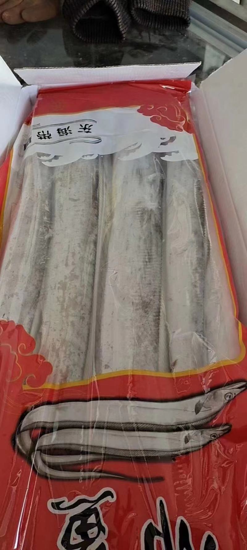 舟山帶魚大量批發有需要的訂單