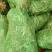黄花菜苗供应