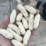 【精品花生】黑花生四粒花生米颗粒饱满无虫眼