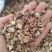 丹皮牡丹皮统货抽芯率70%山东产地批发