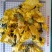 黄蜀葵花干花无硫泡茶干净无杂中药材大全视频看货包邮